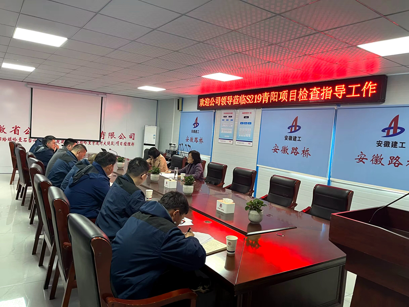 公司黨委委員、紀(jì)委書記王鵬到S219青陽改建項(xiàng)目調(diào)研指導(dǎo)工作